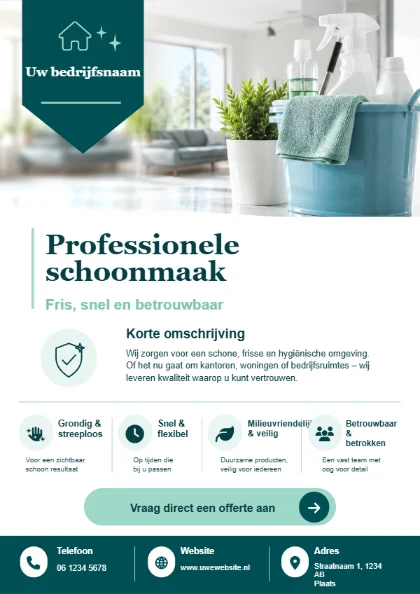 Professionele schoonmaak